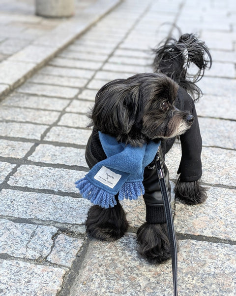 PET SCARF（マフラー）