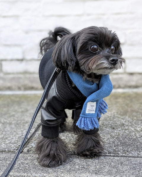 PET SCARF（マフラー）