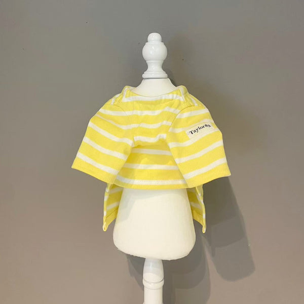 【感謝祭】レモンイエローボーダーT