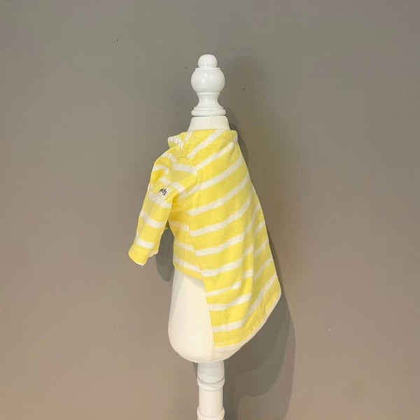 【感謝祭】レモンイエローボーダーT