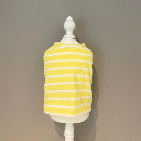 【感謝祭】レモンイエローボーダーT