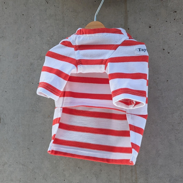 【感謝祭】オレンジレッドボーダーT