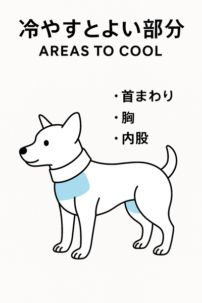 クールネックタンク(保冷剤付)