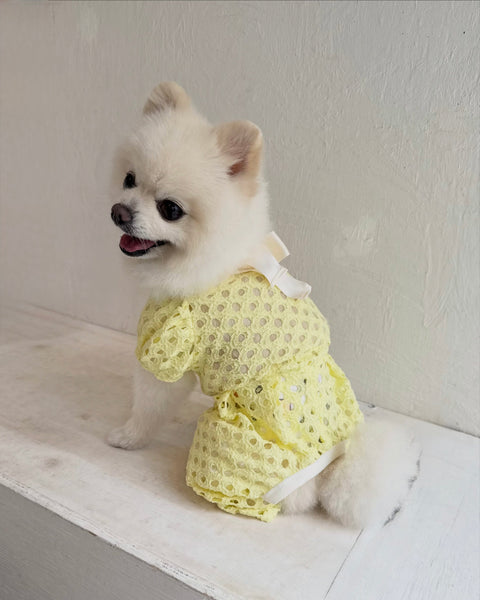 Breeze Lace Knit パフスリーブリボンオールインワン