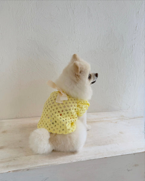 Breeze Lace Knit パフスリーブリボントップス