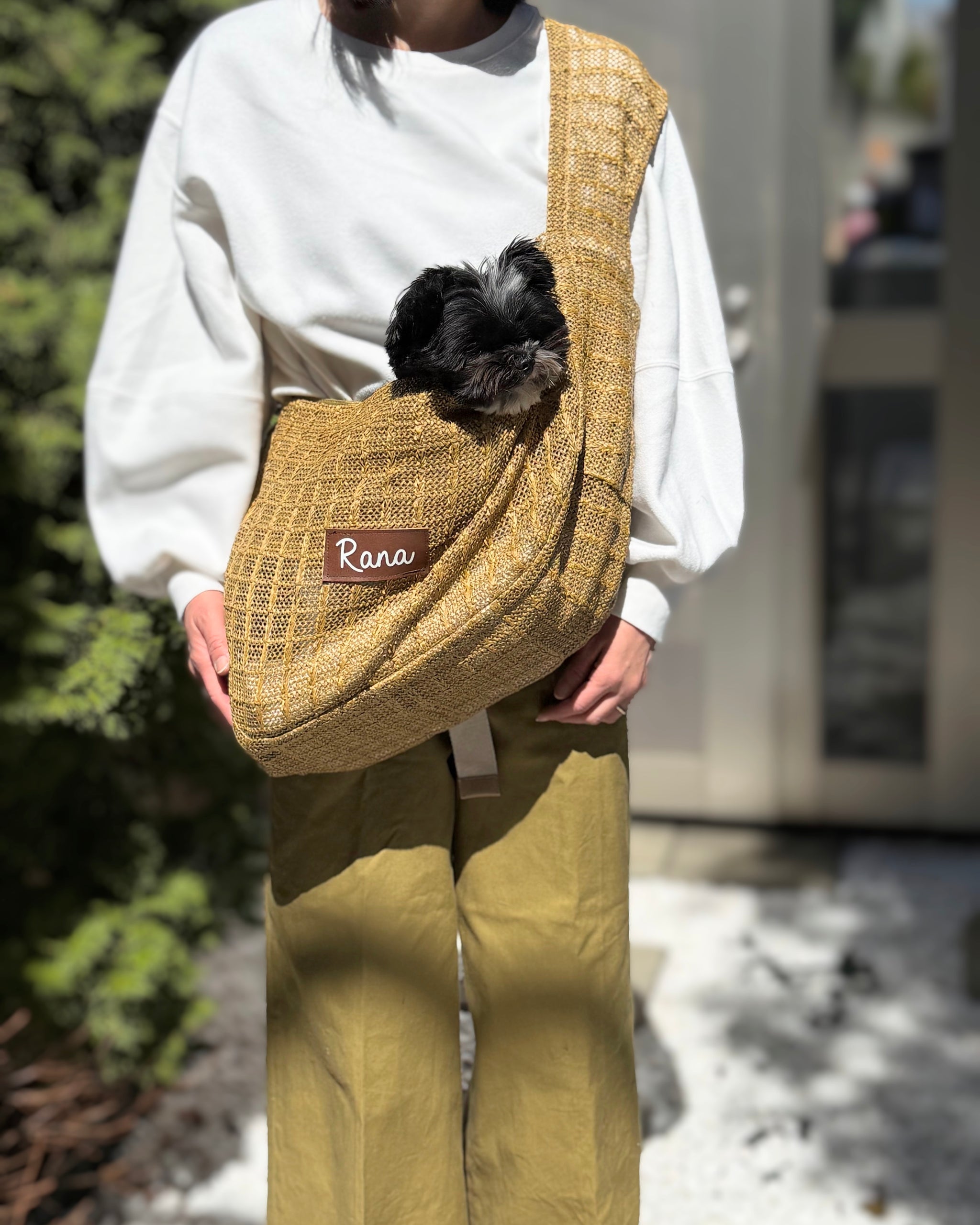 CARRYBAG – Taylor83