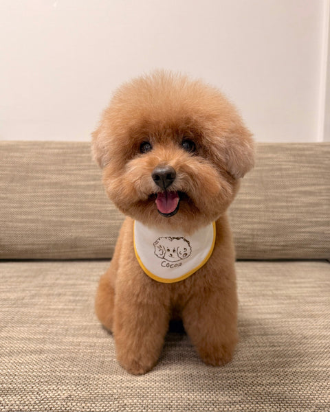 【Doglez-vous】 Ice Pocket for dogs