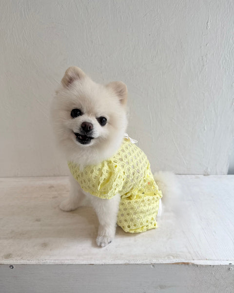 Breeze Lace Knit パフスリーブリボンオールインワン