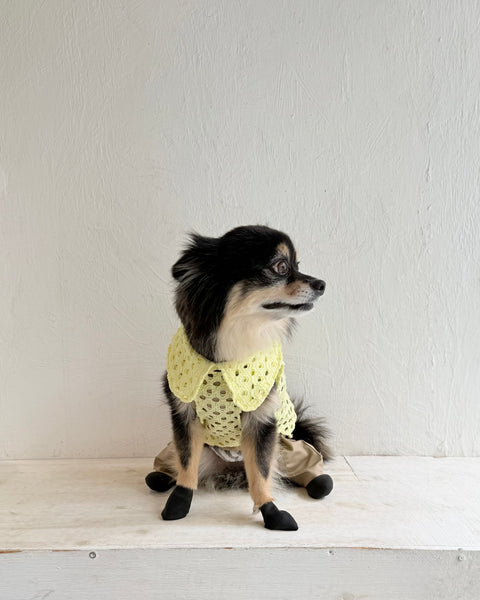 Breeze Lace Knit ノースリーブカラートップス