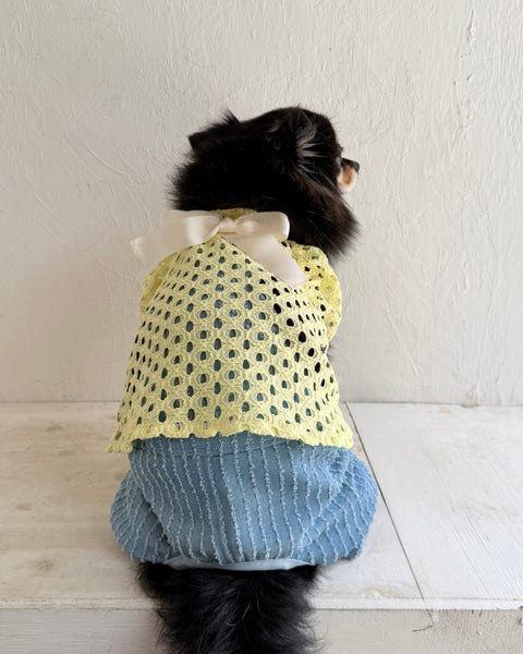 Breeze Lace Knit パフスリーブリボントップス