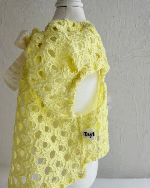 Breeze Lace Knit パフスリーブリボントップス