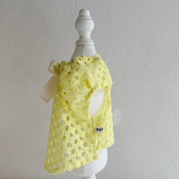 Breeze Lace Knit パフスリーブリボントップス
