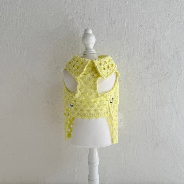 Breeze Lace Knit ノースリーブカラートップス