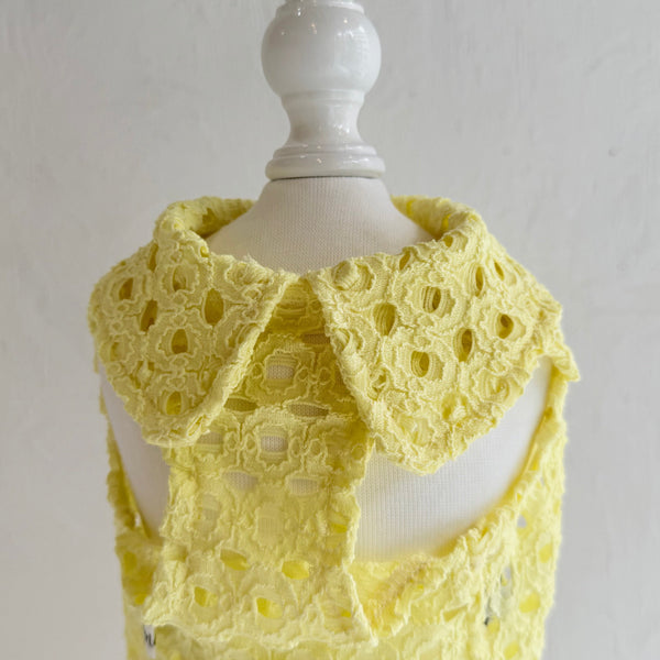 Breeze Lace Knit ノースリーブカラートップス