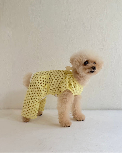 Breeze Lace Knit パフスリーブリボンオールインワン
