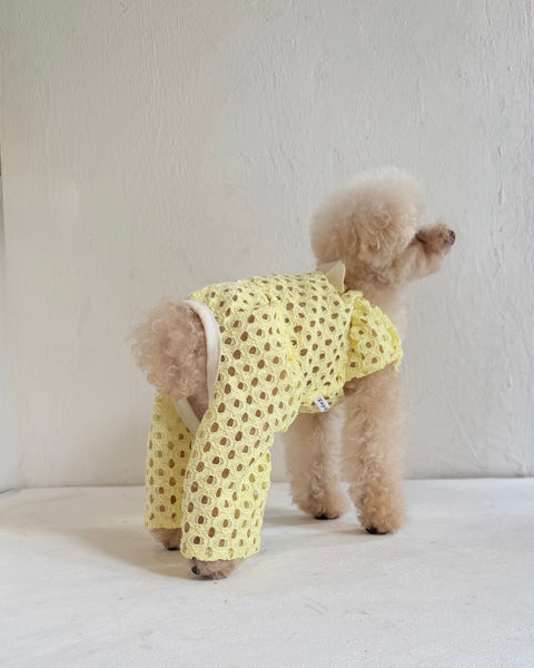 Breeze Lace Knit パフスリーブリボンオールインワン