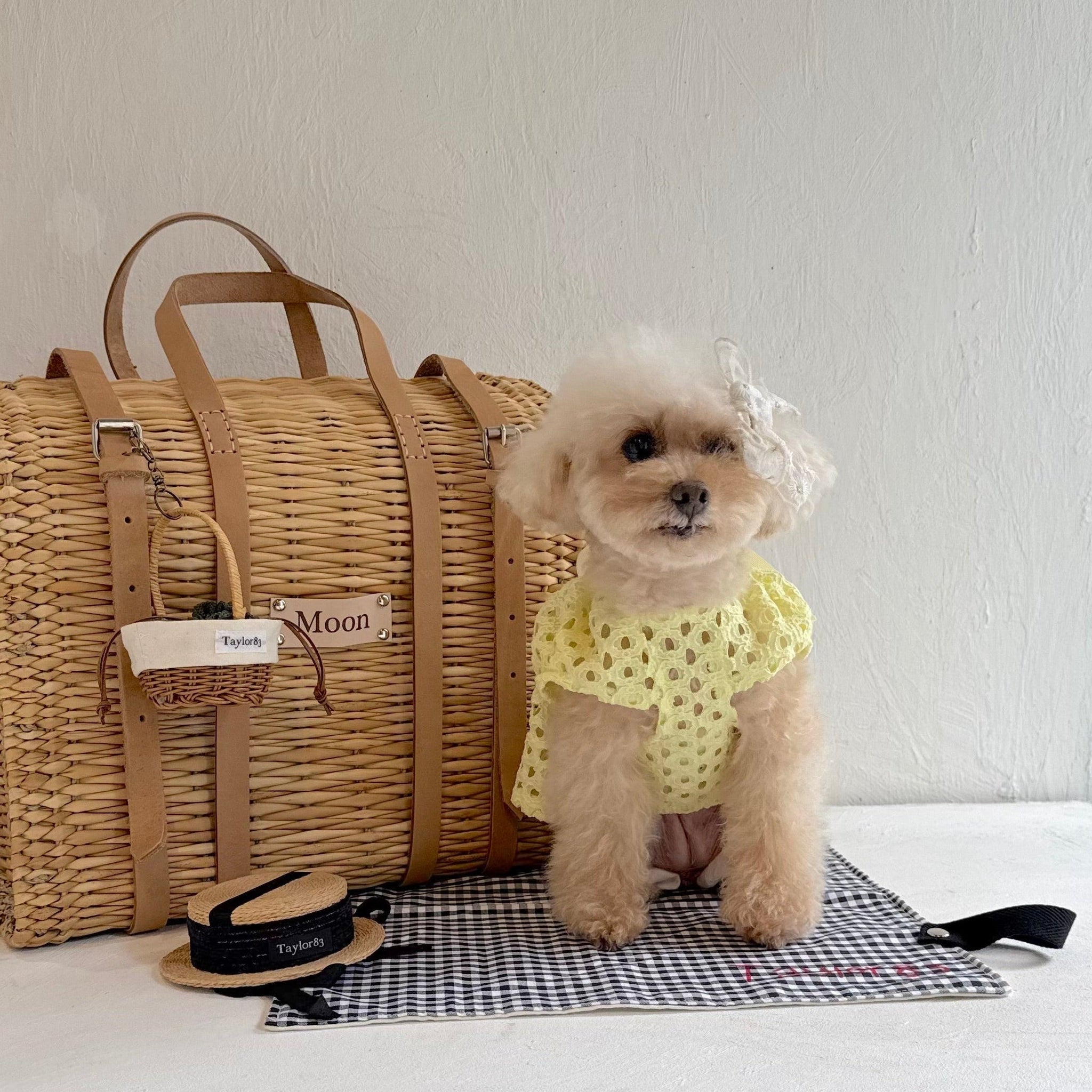 Taylor ペット用キャリーバッグ Mサイズ CARRYBAG – Taylor83