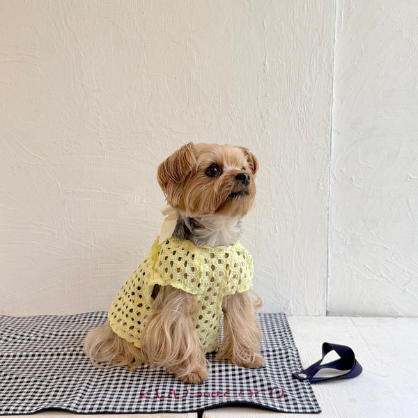 Breeze Lace Knit パフスリーブリボントップス
