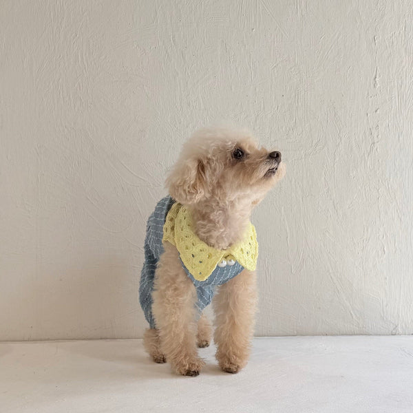 Breeze Lace Knit ノースリーブカラートップス