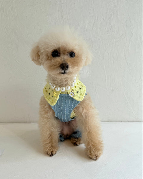 Breeze Lace Knit ノースリーブカラートップス