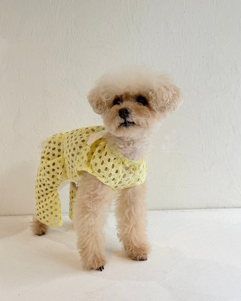 Breeze Lace Knit パフスリーブリボンオールインワン