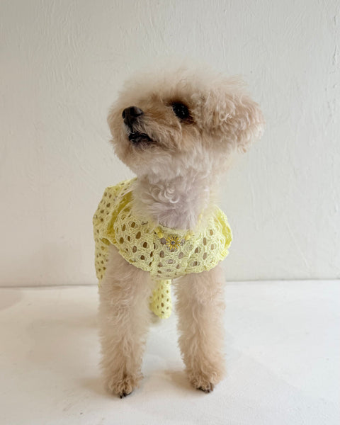 Breeze Lace Knit パフスリーブリボンオールインワン
