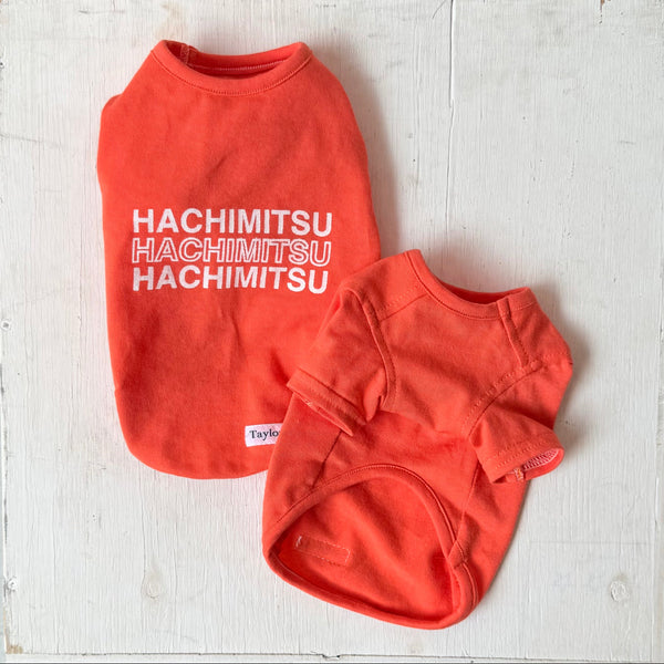 グラフィックネームT