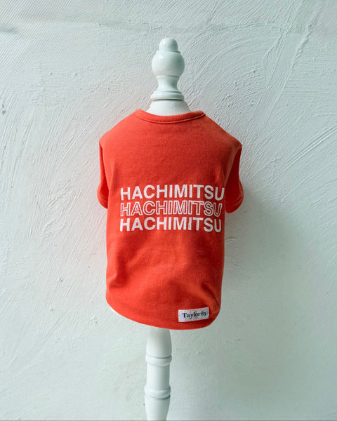 グラフィックネームT