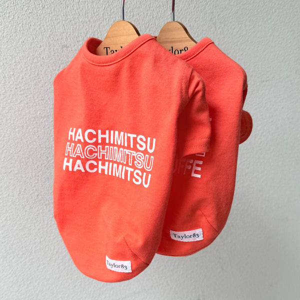 グラフィックネームT