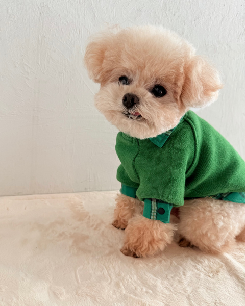 ゆるイラスウェット-カキフライ