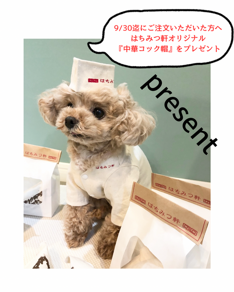 ゆるイラニットスウェット-エビチリ
