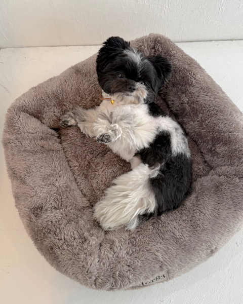 dogbed専用あったかカバー2025FW