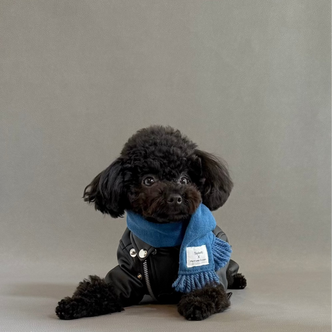 PET SCARF（マフラー）