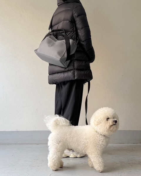 DailyBag　グレー