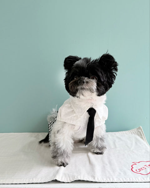 Narrow Tie