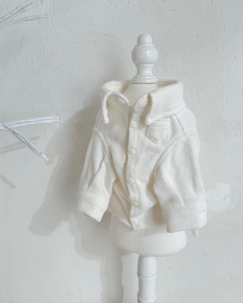 【感謝祭】ドビーニットシャツ