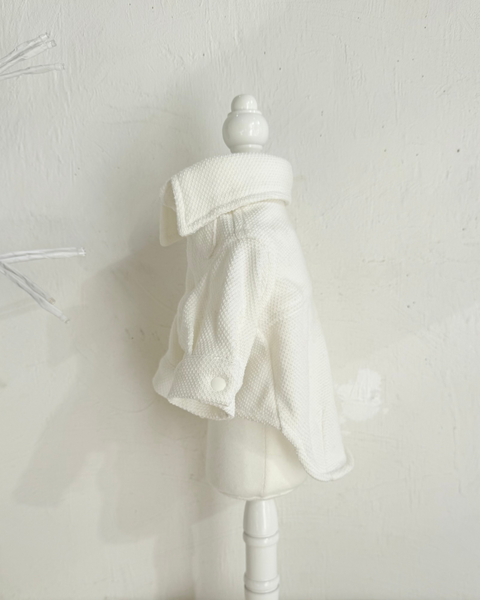 【感謝祭】ドビーニットシャツ