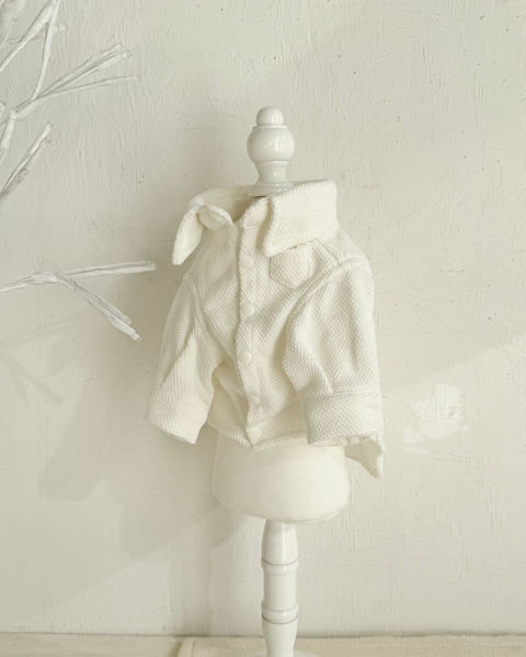 【感謝祭】ドビーニットシャツ