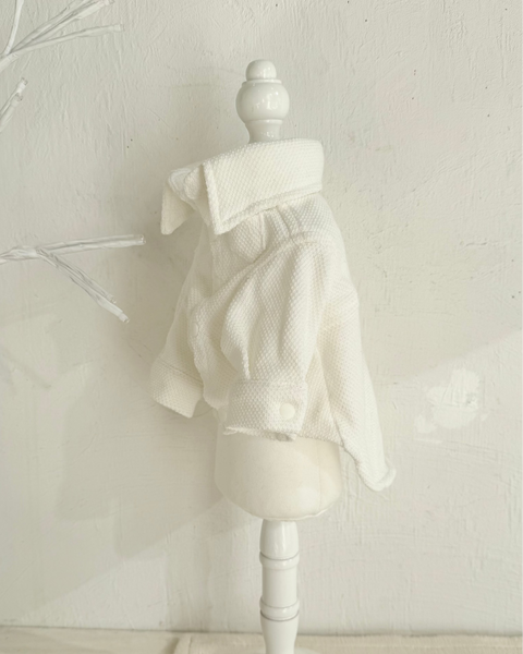 【感謝祭】ドビーニットシャツ