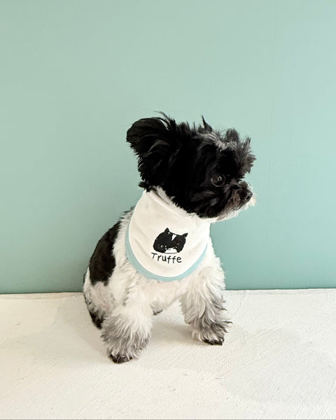 【Doglez-vous】 Ice Pocket for dogs