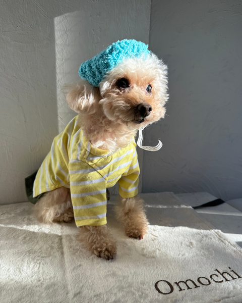 【感謝祭】ふわふわベレー帽