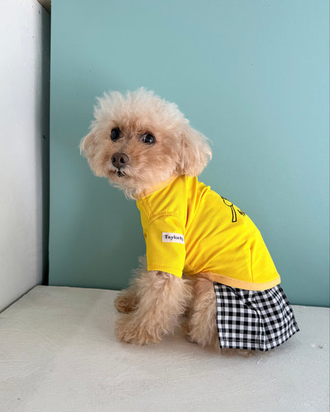 11周年チョコバナナタンクorTシャツ