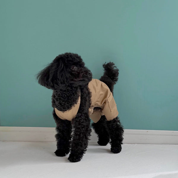 ハーフカーゴサロペット (チノ)