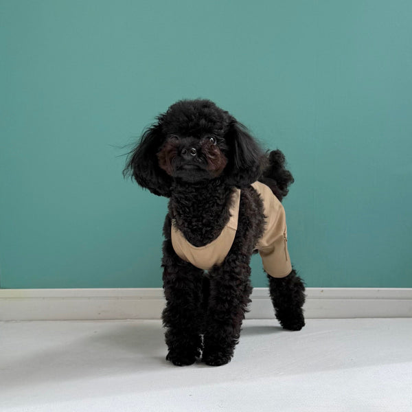 ハーフカーゴサロペット (チノ)