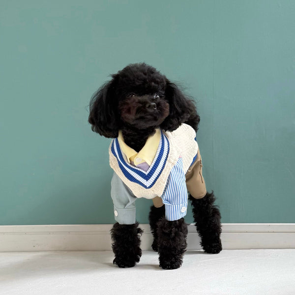 クレイジーパターンシャツ