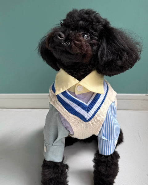 クレイジーパターンシャツ