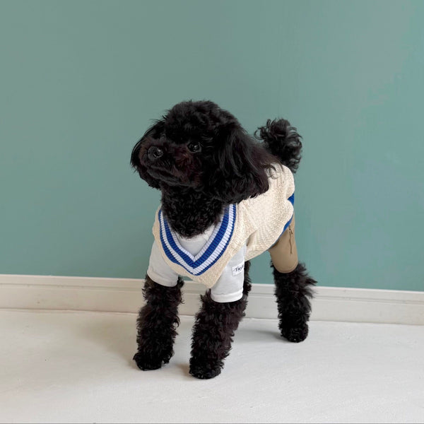 ハーフカーゴサロペット (チノ)