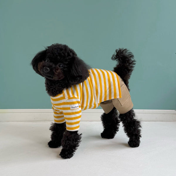 ハーフカーゴサロペット (チノ)