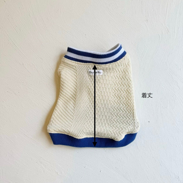 チルデンベスト