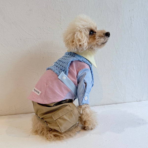 ハーフカーゴサロペット (チノ)